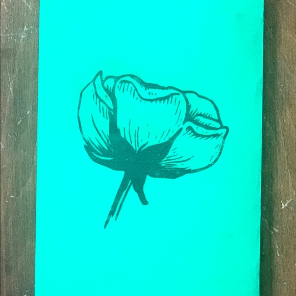 Laser Engineering of Pets, People, and Anything Else - Picture 4 of 6